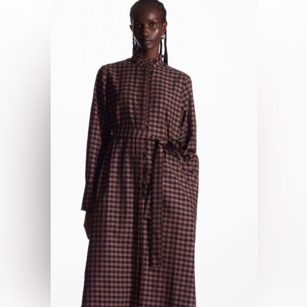 COS Rust and Black Gingham Button-Down Dress - Picture 3 of 3